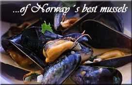 ...of Norway´s best mussels