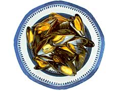 Mussel Soup