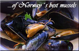 ...of Norway&acute;s best mussels